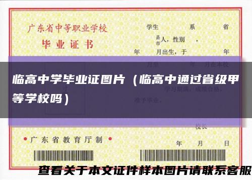 临高中学毕业证图片（临高中通过省级甲等学校吗）缩略图