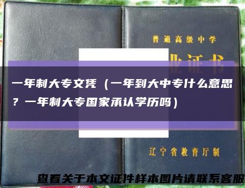 一年制大专文凭（一年到大中专什么意思？一年制大专国家承认学历吗）缩略图