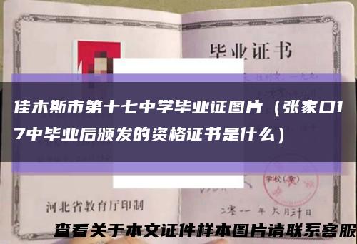 佳木斯市第十七中学毕业证图片（张家口17中毕业后颁发的资格证书是什么）缩略图