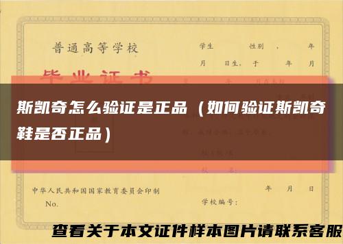 斯凯奇怎么验证是正品（如何验证斯凯奇鞋是否正品）缩略图