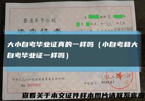 大小自考毕业证真的一样吗（小自考和大自考毕业证一样吗）缩略图