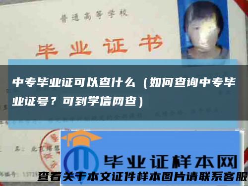 中专毕业证可以查什么（如何查询中专毕业证号？可到学信网查）缩略图