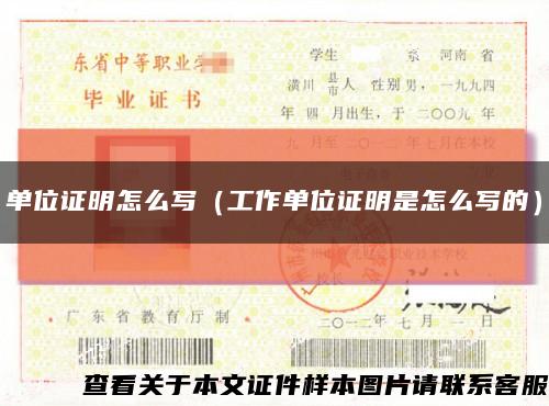 单位证明怎么写（工作单位证明是怎么写的）缩略图
