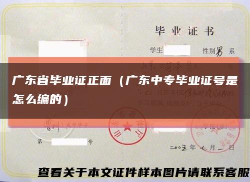 广东省毕业证正面（广东中专毕业证号是怎么编的）缩略图