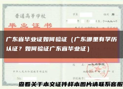 广东省毕业证如何验证（广东哪里有学历认证？如何验证广东省毕业证）缩略图