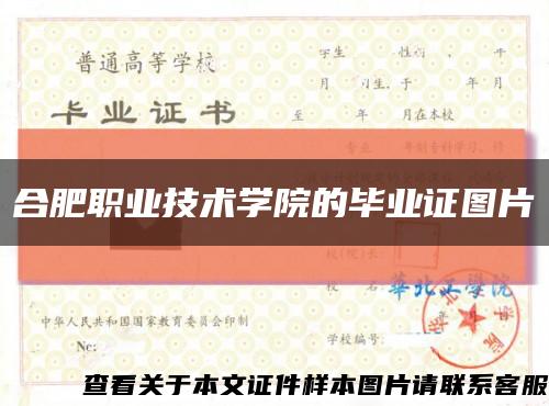 合肥职业技术学院的毕业证图片缩略图