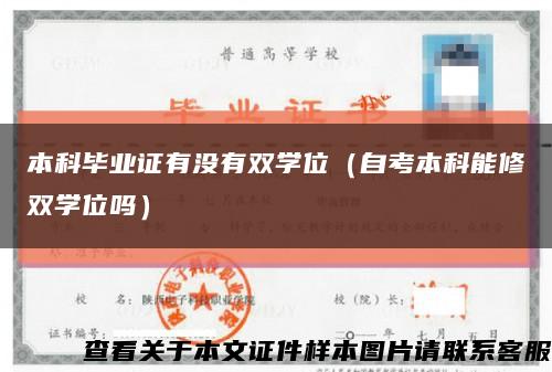 本科毕业证有没有双学位（自考本科能修双学位吗）缩略图