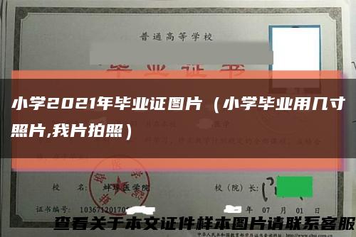 小学2021年毕业证图片（小学毕业用几寸照片,我片拍照）缩略图
