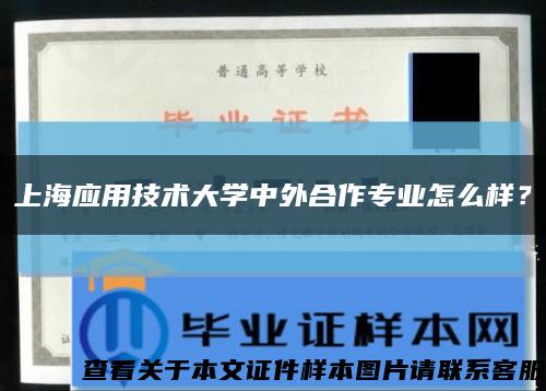 上海应用技术大学中外合作专业怎么样？缩略图