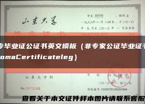 大专毕业证公证书英文模板（非专家公证毕业证书DiplomaCertificateleg）缩略图