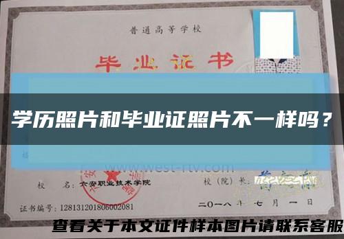 学历照片和毕业证照片不一样吗？缩略图