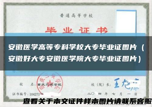 安徽医学高等专科学校大专毕业证图片（安徽好大专安徽医学院大专毕业证图片）缩略图