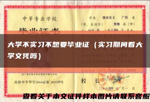大学不实习不想要毕业证（实习期间看大学文凭吗）缩略图