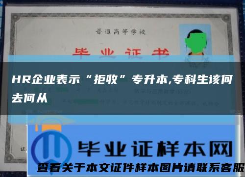 HR企业表示“拒收”专升本,专科生该何去何从缩略图