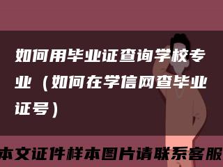 如何用毕业证查询学校专业（如何在学信网查毕业证号）缩略图