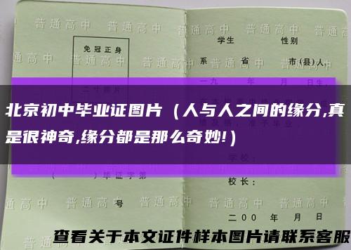 北京初中毕业证图片（人与人之间的缘分,真是很神奇,缘分都是那么奇妙!）缩略图