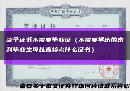 哪个证书不需要毕业证（不需要学历的本科毕业生可以直接考什么证书）缩略图