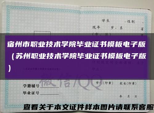 宿州市职业技术学院毕业证书模板电子版（苏州职业技术学院毕业证书模板电子版）缩略图