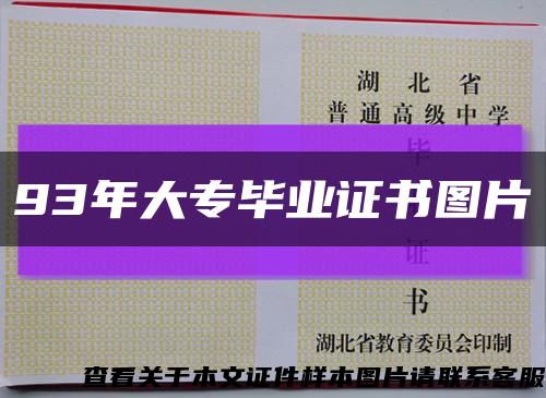 93年大专毕业证书图片缩略图