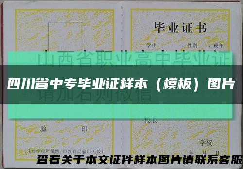 四川省中专毕业证样本（模板）图片缩略图