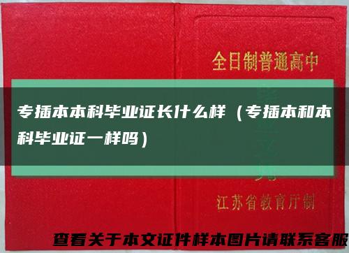 专插本本科毕业证长什么样（专插本和本科毕业证一样吗）缩略图