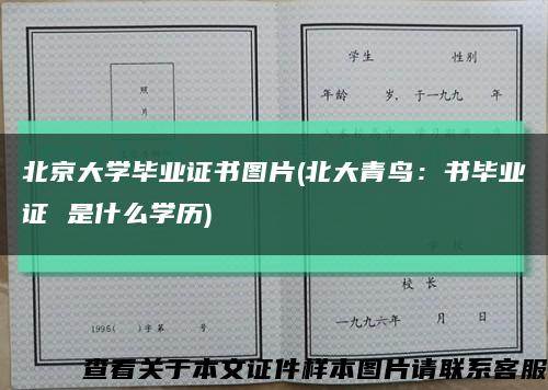 北京大学毕业证书图片(北大青鸟：书毕业证 是什么学历)缩略图