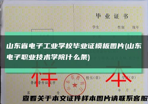 山东省电子工业学校毕业证模板图片(山东电子职业技术学院什么条)缩略图