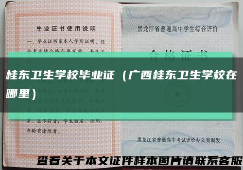桂东卫生学校毕业证（广西桂东卫生学校在哪里）缩略图