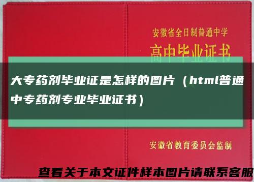 大专药剂毕业证是怎样的图片（html普通中专药剂专业毕业证书）缩略图