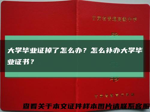 大学毕业证掉了怎么办？怎么补办大学毕业证书？缩略图