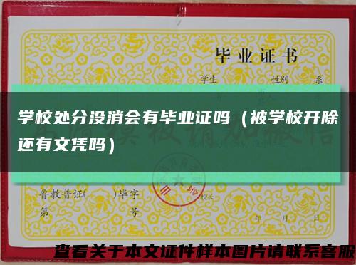学校处分没消会有毕业证吗（被学校开除还有文凭吗）缩略图