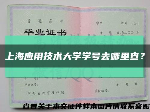 上海应用技术大学学号去哪里查？缩略图