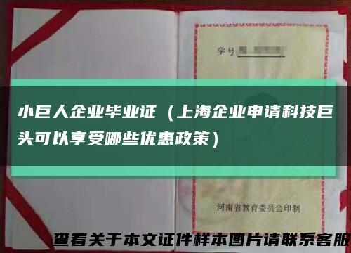 小巨人企业毕业证（上海企业申请科技巨头可以享受哪些优惠政策）缩略图