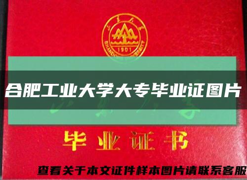 合肥工业大学大专毕业证图片缩略图