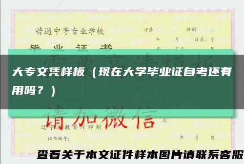 大专文凭样板（现在大学毕业证自考还有用吗？）缩略图