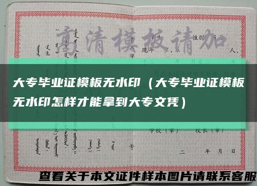 大专毕业证模板无水印（大专毕业证模板无水印怎样才能拿到大专文凭）缩略图
