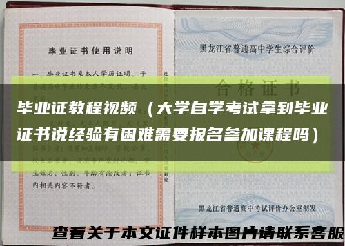 毕业证教程视频（大学自学考试拿到毕业证书说经验有困难需要报名参加课程吗）缩略图