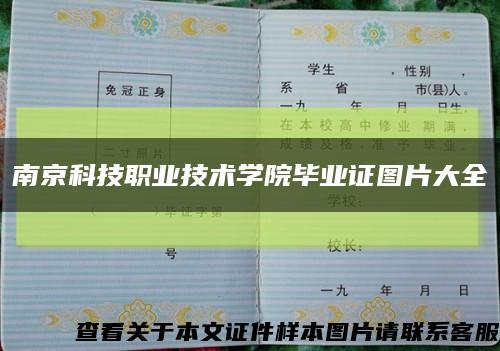 南京科技职业技术学院毕业证图片大全缩略图