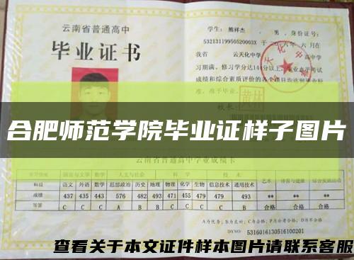 合肥师范学院毕业证样子图片缩略图