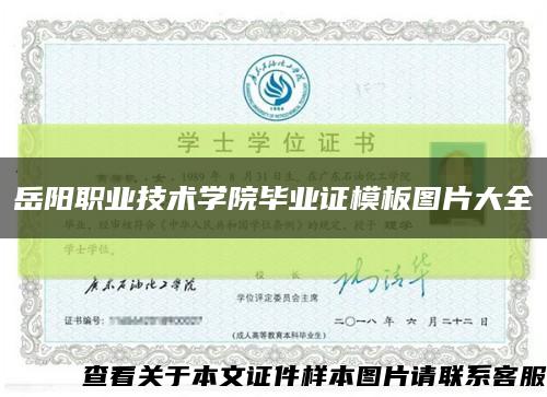 岳阳职业技术学院毕业证模板图片大全缩略图