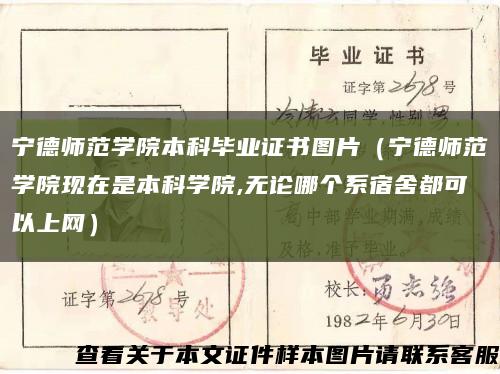 宁德师范学院本科毕业证书图片（宁德师范学院现在是本科学院,无论哪个系宿舍都可以上网）缩略图
