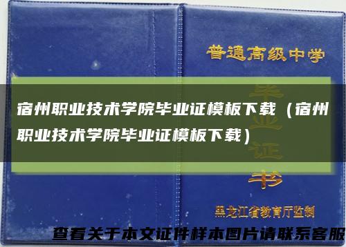 宿州职业技术学院毕业证模板下载（宿州职业技术学院毕业证模板下载）缩略图