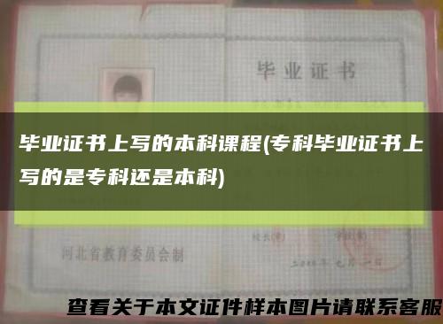 毕业证书上写的本科课程(专科毕业证书上写的是专科还是本科)缩略图