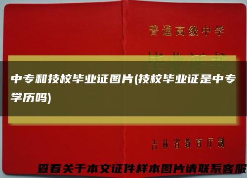 中专和技校毕业证图片(技校毕业证是中专学历吗)缩略图
