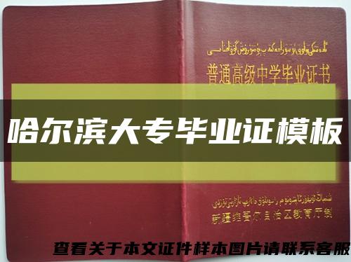 哈尔滨大专毕业证模板缩略图