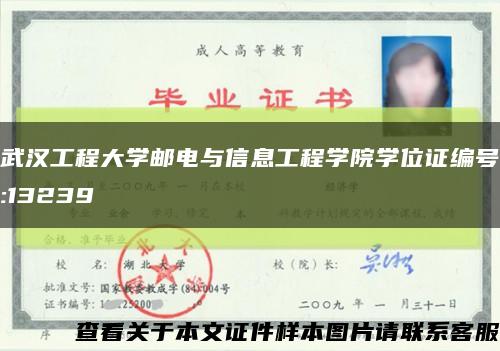 武汉工程大学邮电与信息工程学院学位证编号:13239缩略图