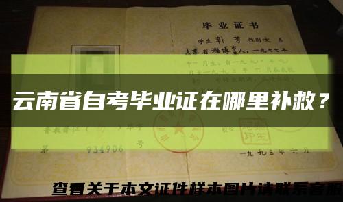 云南省自考毕业证在哪里补救？缩略图