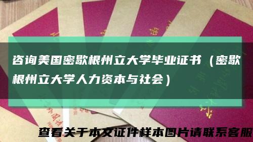 咨询美国密歇根州立大学毕业证书（密歇根州立大学人力资本与社会）缩略图