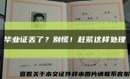 毕业证丢了？别慌！赶紧这样处理缩略图