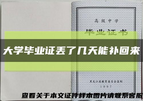 大学毕业证丢了几天能补回来缩略图